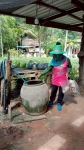 โครงการรณรงค์ป้องกันและควบคุมโรคไข้เลือดออกตำบลหัวเสือ ประจำปีงบประมาณ พ.ศ.2568